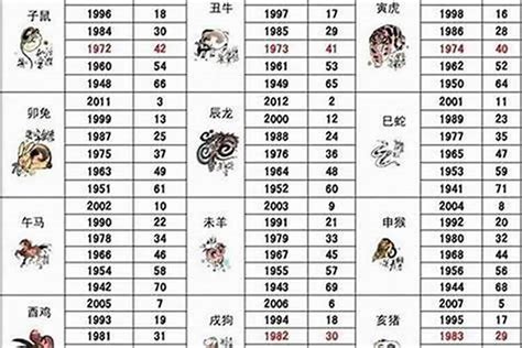 1991年属相|1991年1月出生属什么生肖